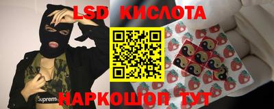 mdma Гатчина