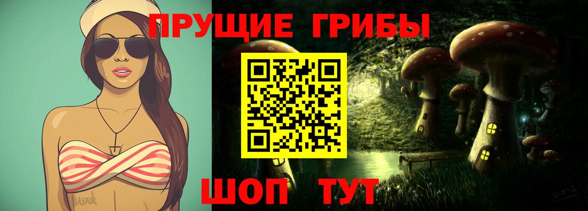 где купить наркоту  Псилоцибиновые грибы мухоморы  Вход с VPN  Холмск 